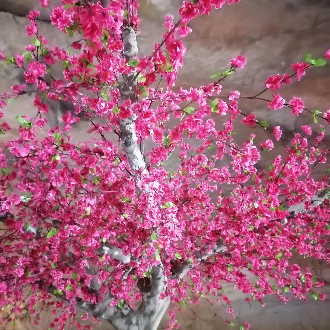 生活小节奏
