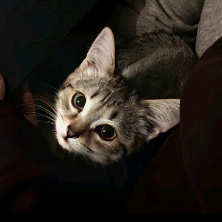 不要叫我的名字