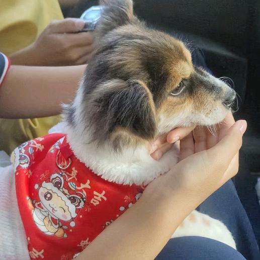 好运❤️