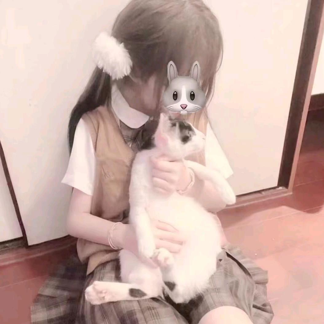 小猫安安～