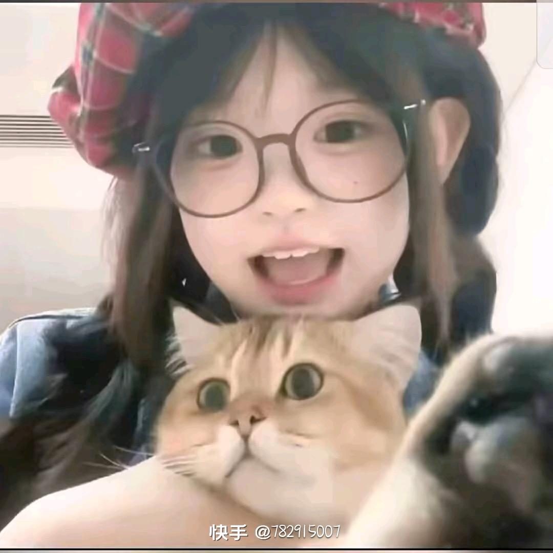 可爱的玫瑰花。