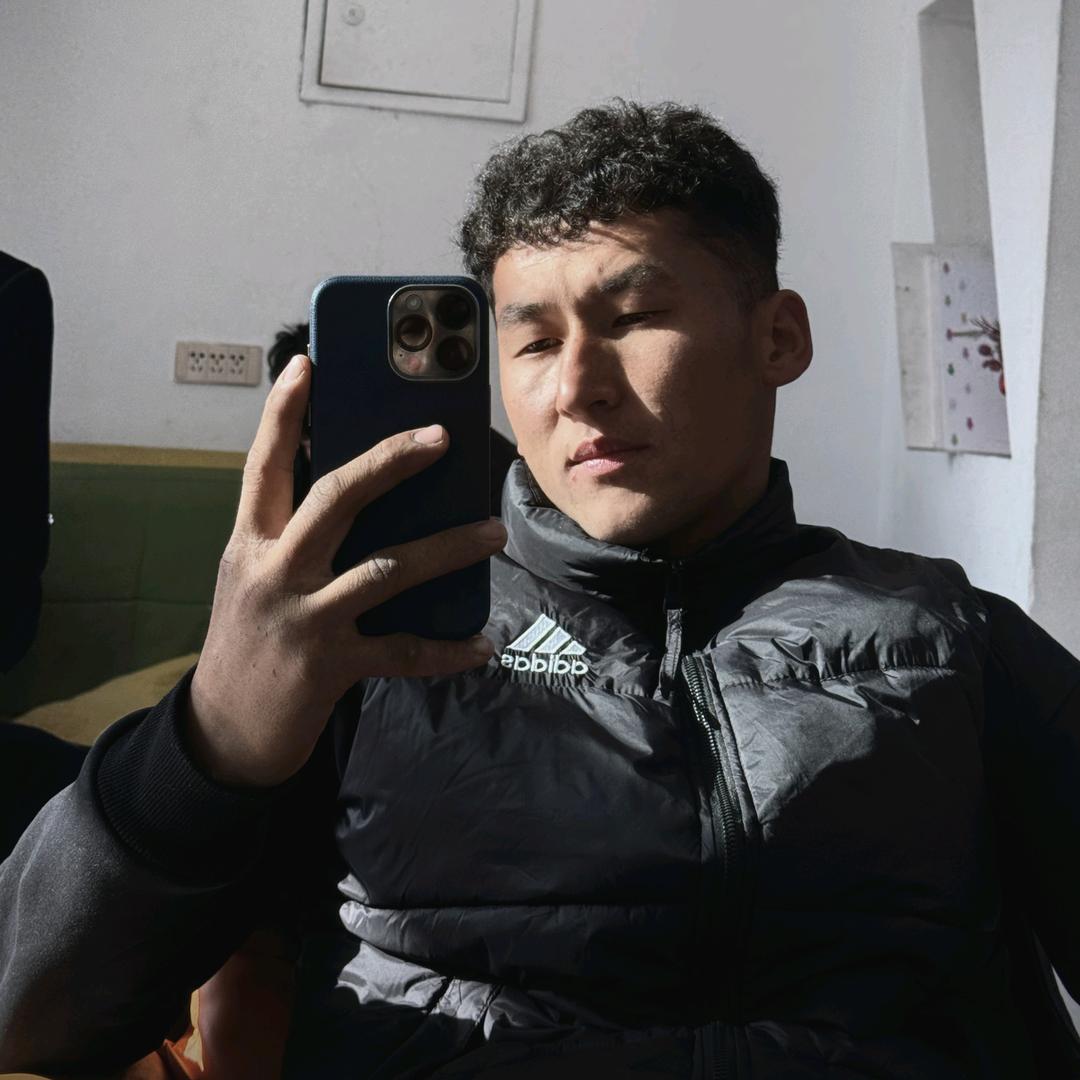 必力喀尔汽车电路维修