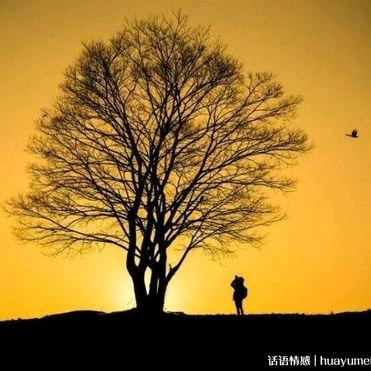 《启程》