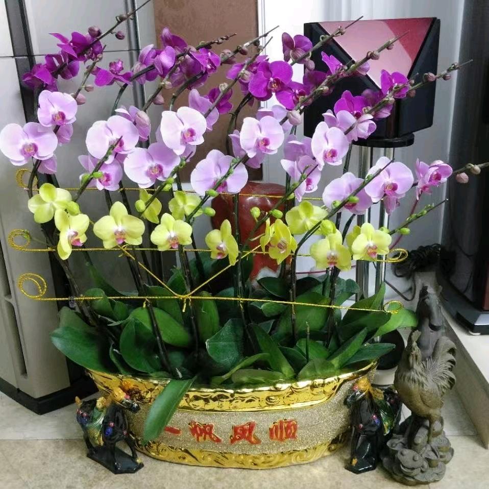 且慢