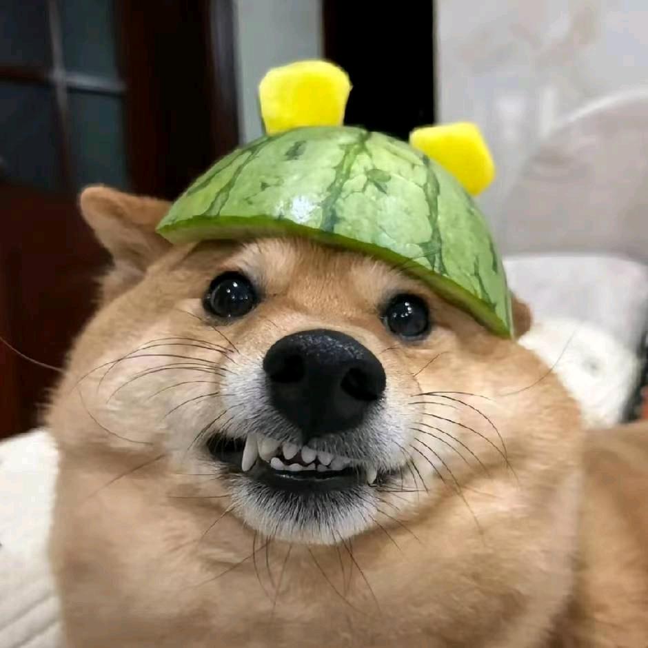 知其一