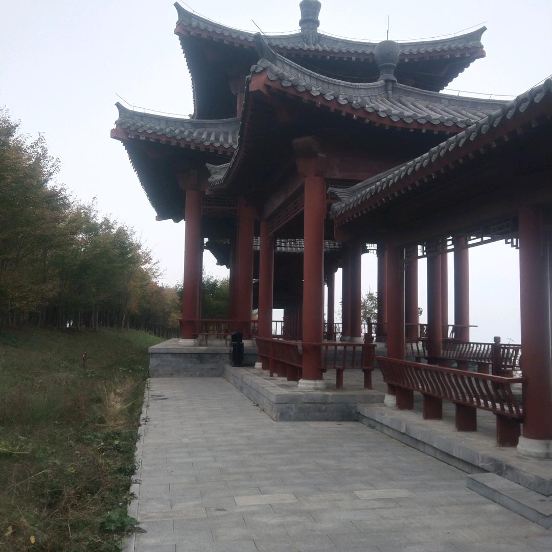 跟随沉默