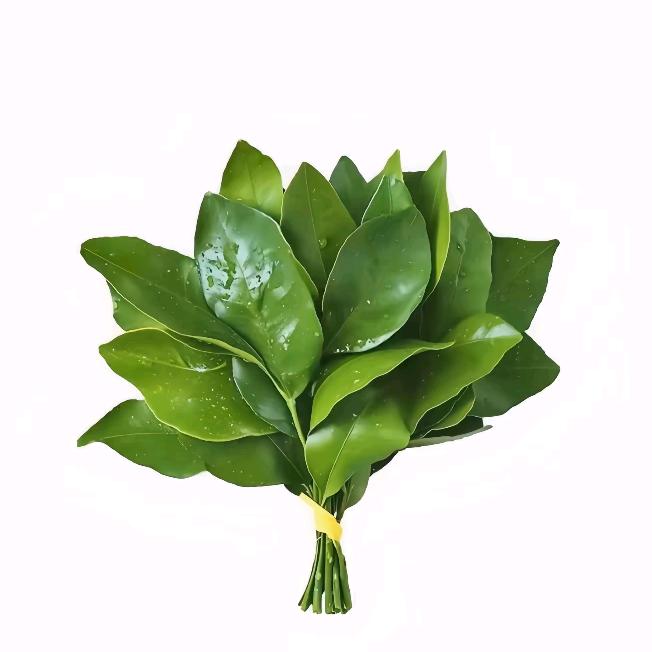 菁杏