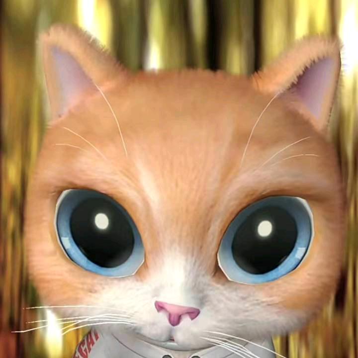 老四家的小猪尾巴