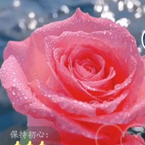 继续加油