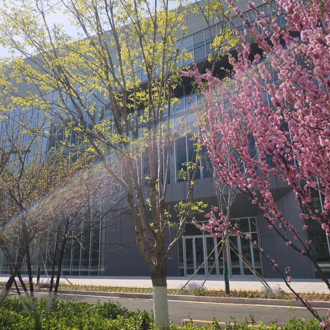 还没想到叫啥就先这样吧