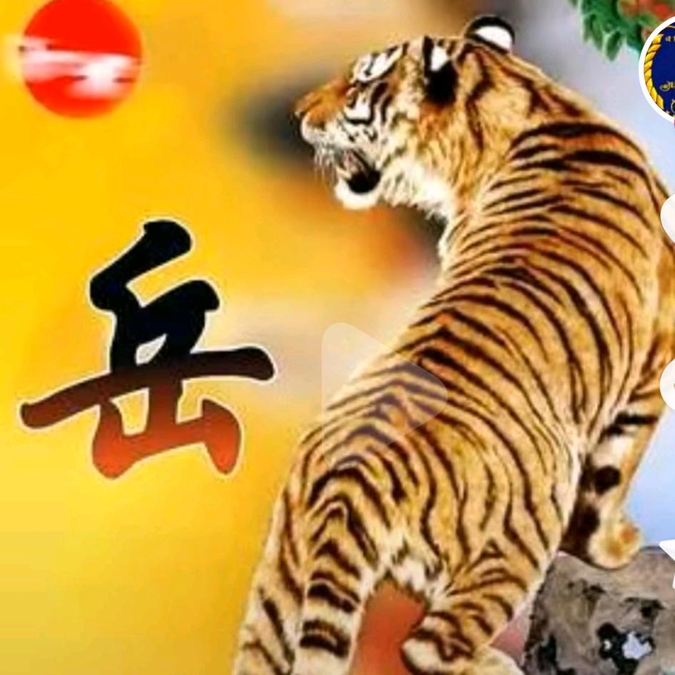 三姐