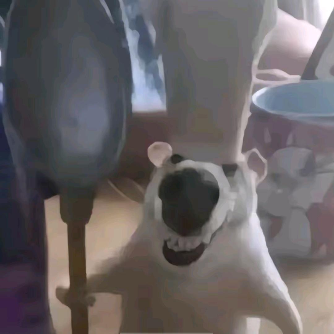 COOOL