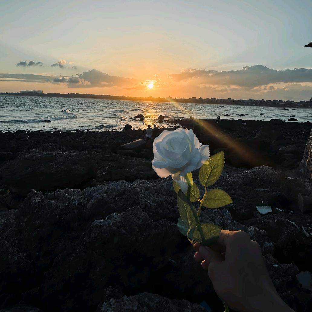 𝓐𝓵𝓸𝓷𝓮🌲