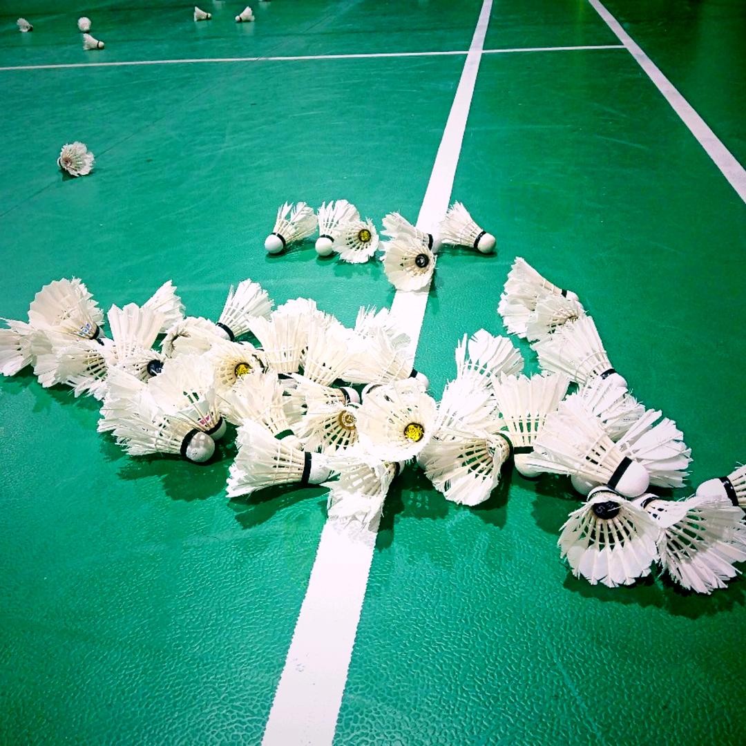 黑河小范🏸