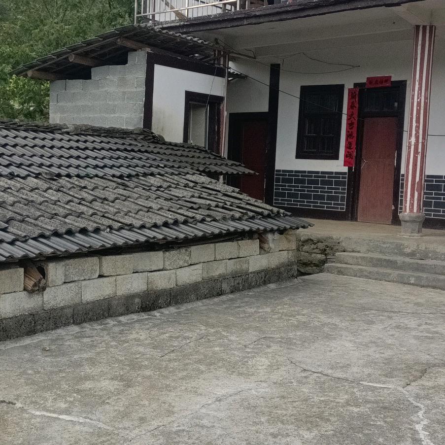霞霞