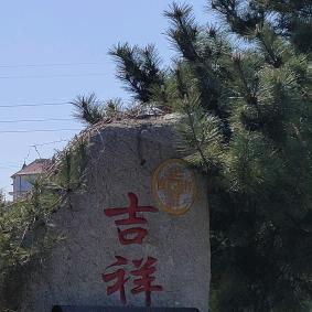 静静的独一无二