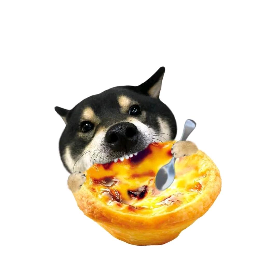Z🥚Z