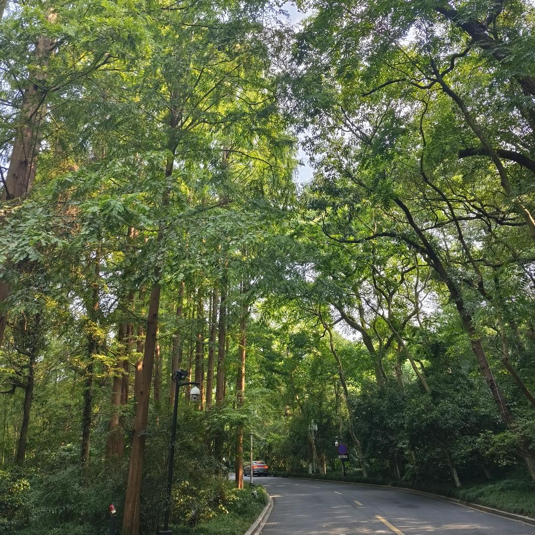 青珊