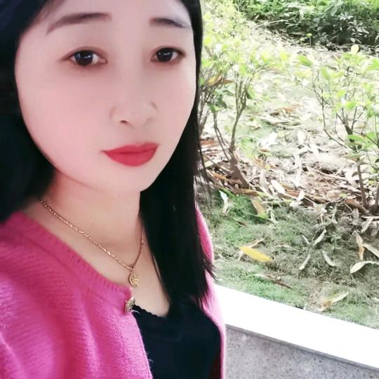 一只蝴蝶🦋🦋🦋🌹