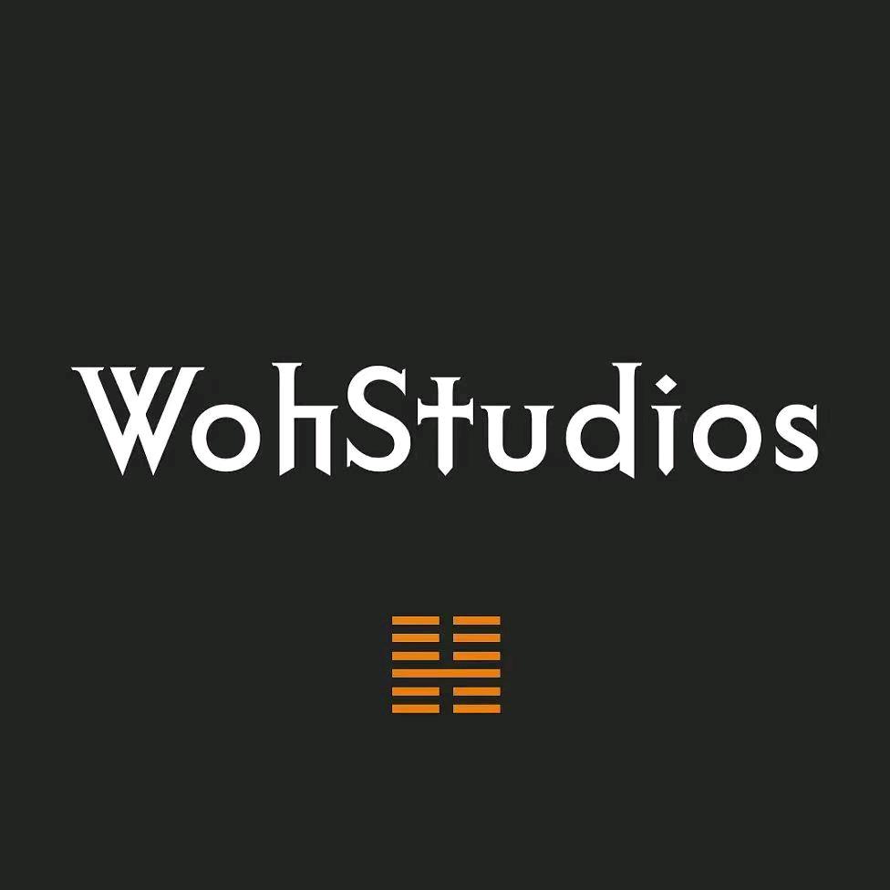 WohStudios企业店