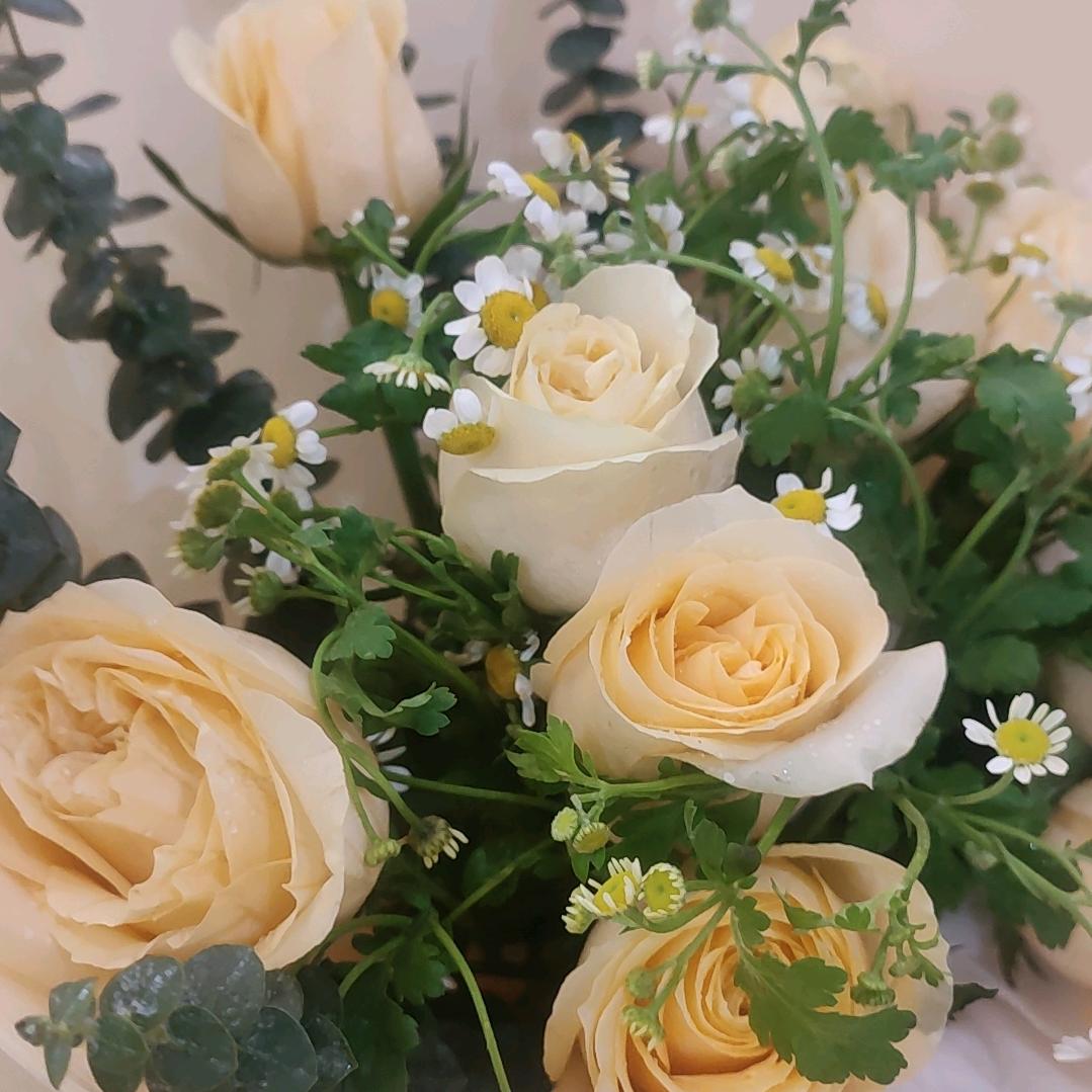 🥀এ᭄一王ོ࿐ᩚ情深🎣