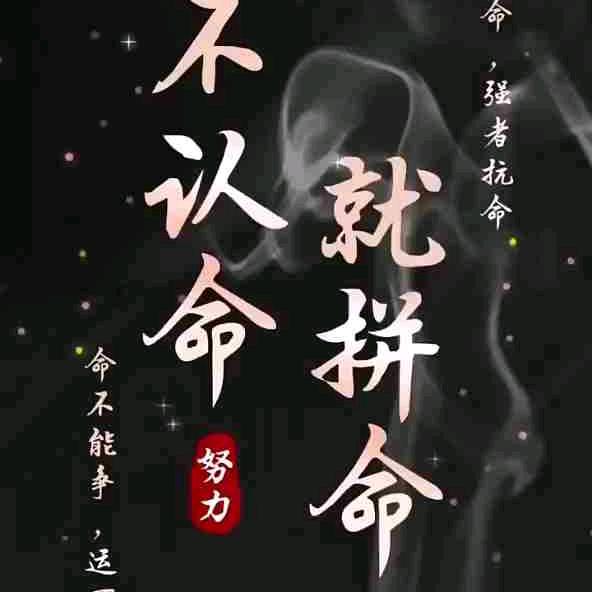 小飞虫