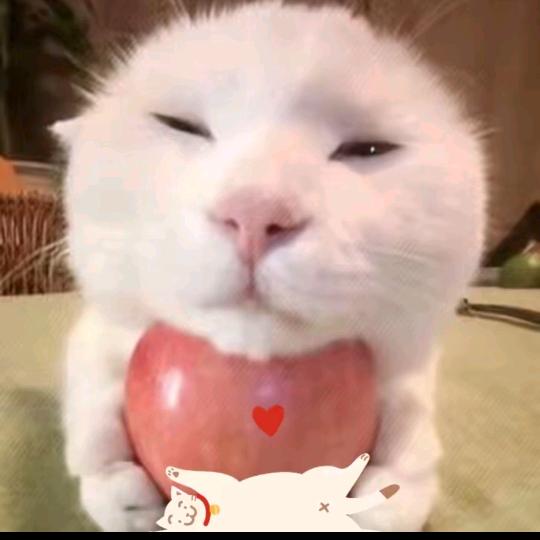 …@