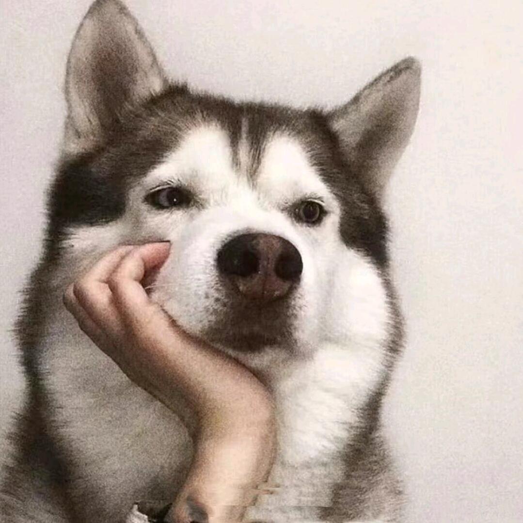 咖喱