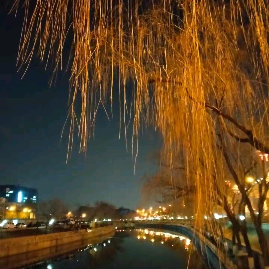 坚强的小石头