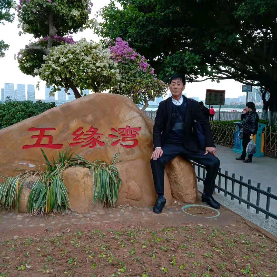 啄木鸟