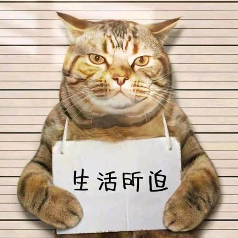 搞笑界的包工头