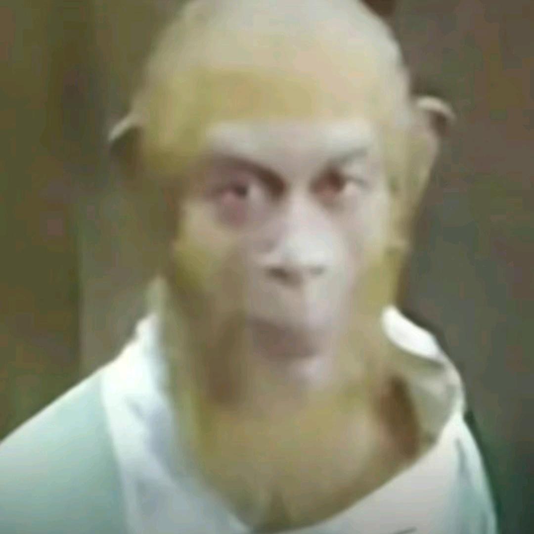 🐒吗喽的命也是命