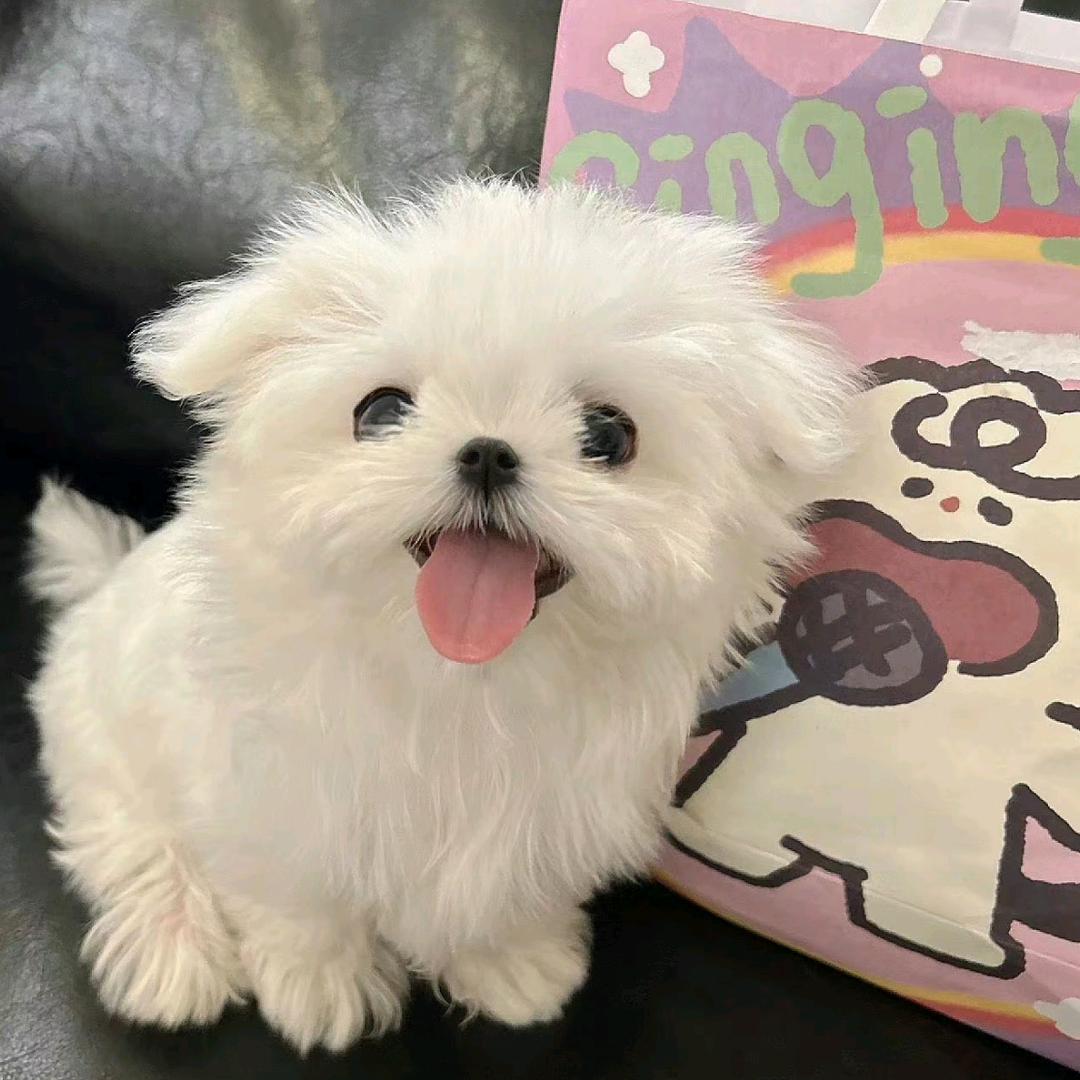 小玩意杂货铺
