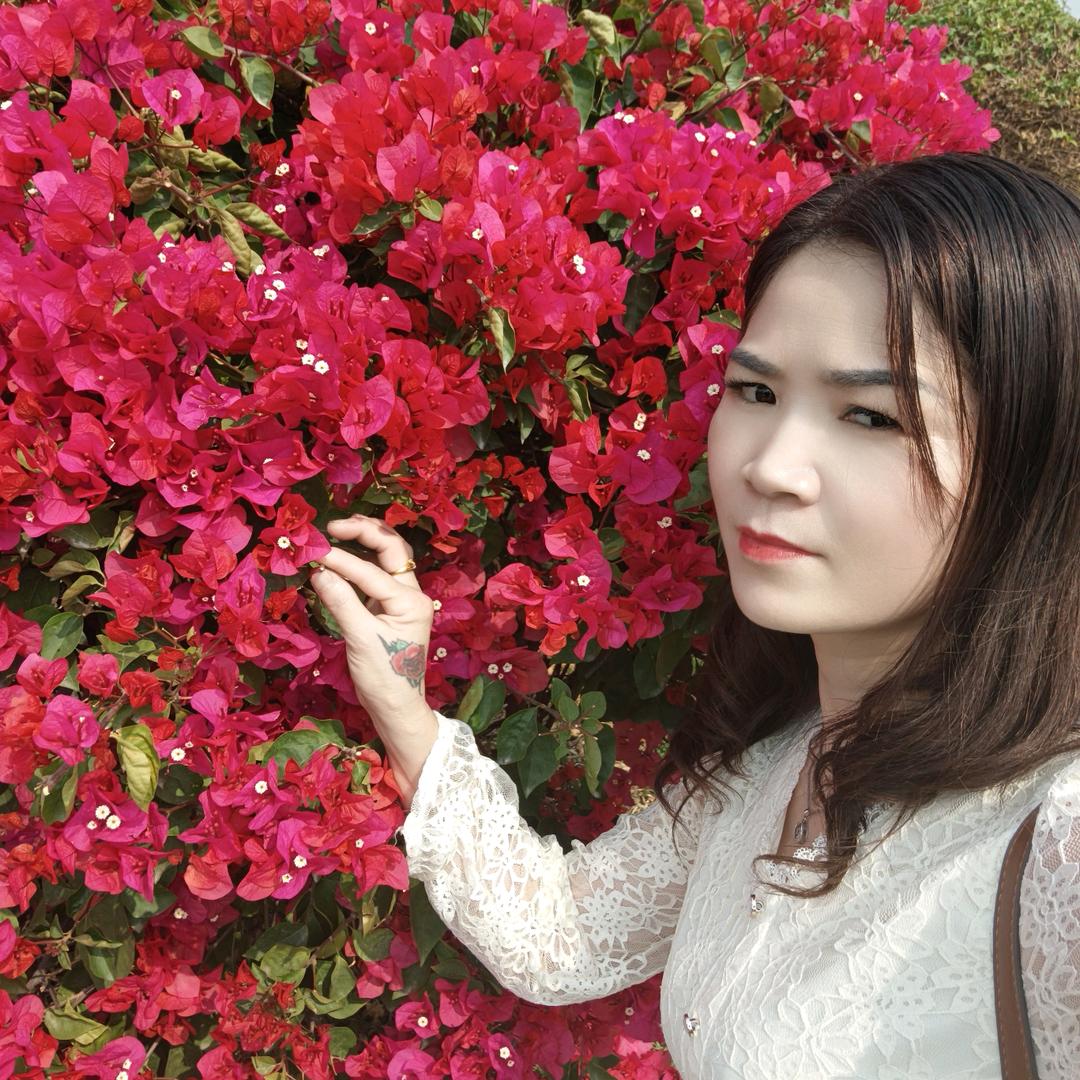 人生如梦🌹🌹