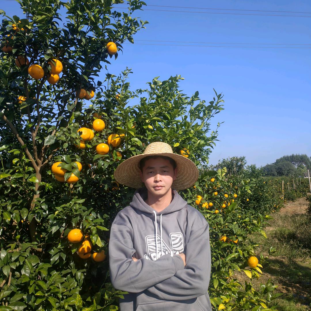 新农人 小覃