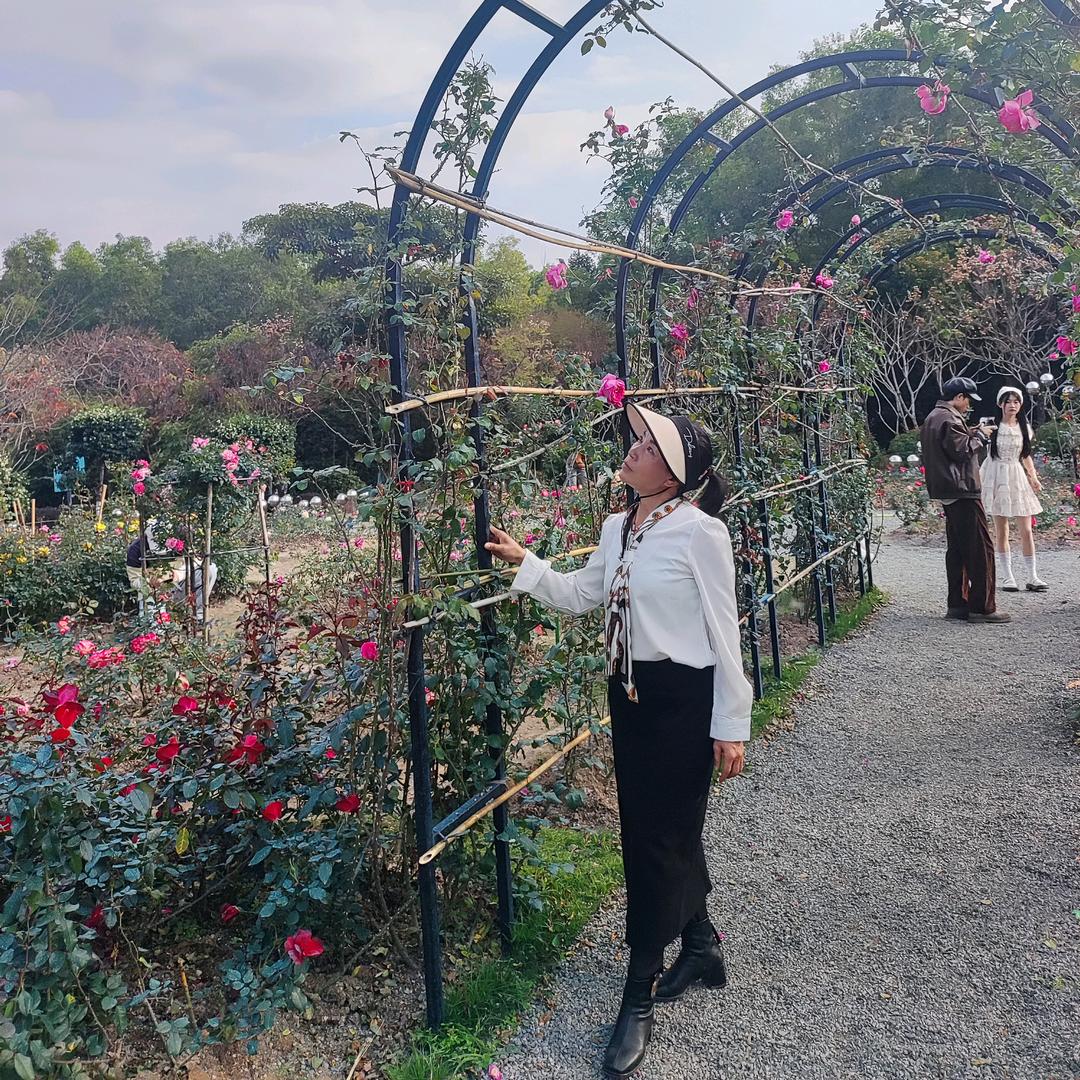 🌻🍃心若向阳🍃🌻