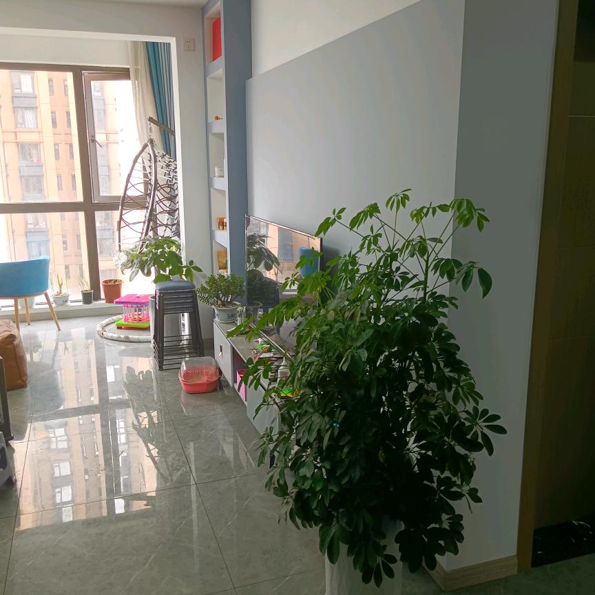 只谈❤️不贪心。