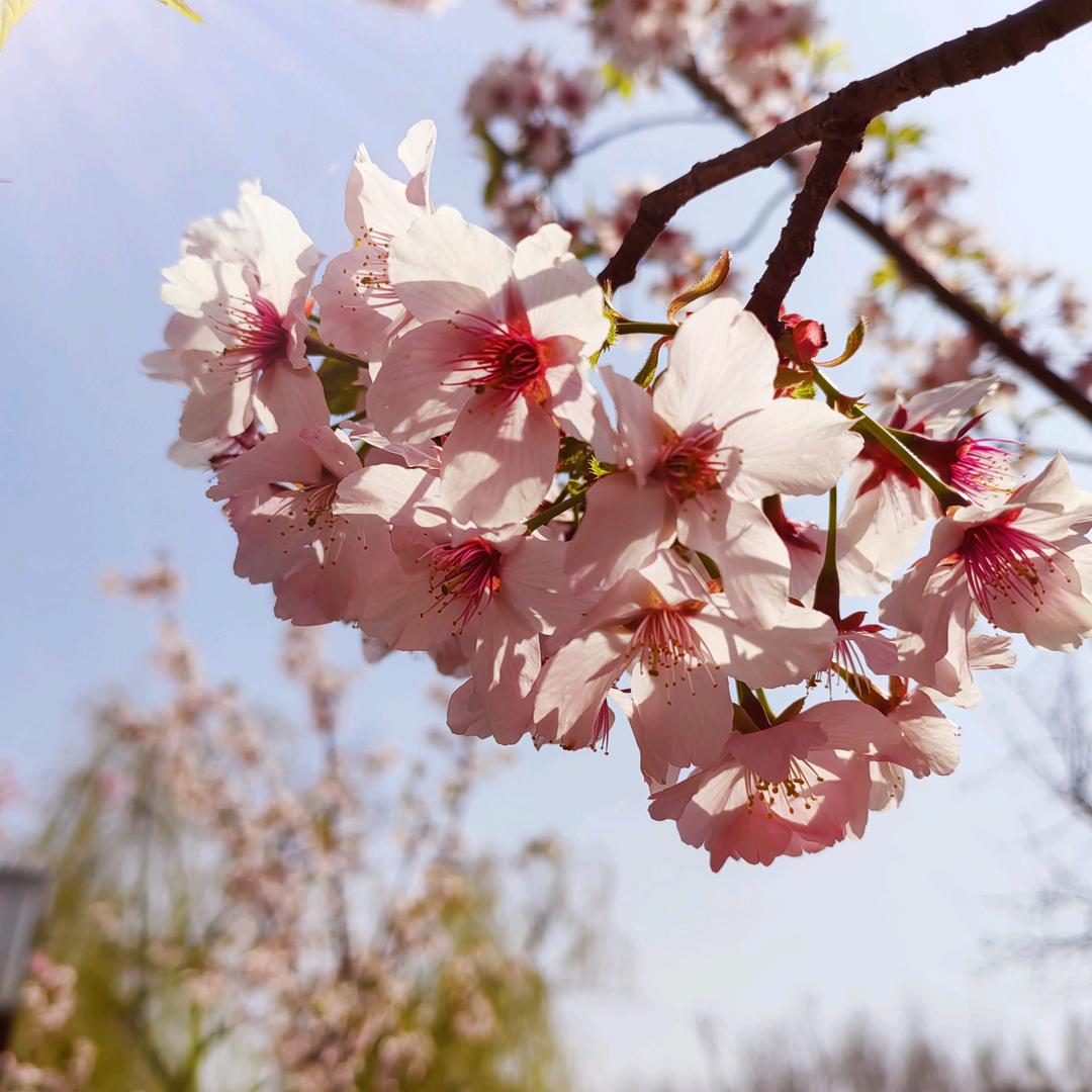 小然