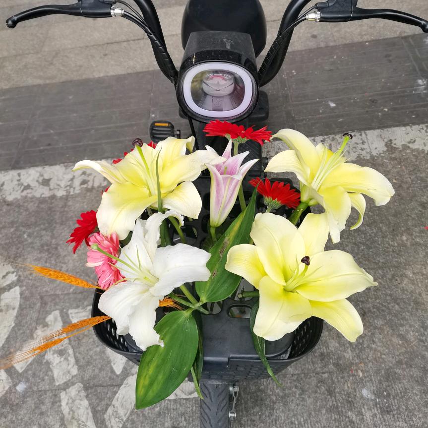 雅鹿沙溪红云