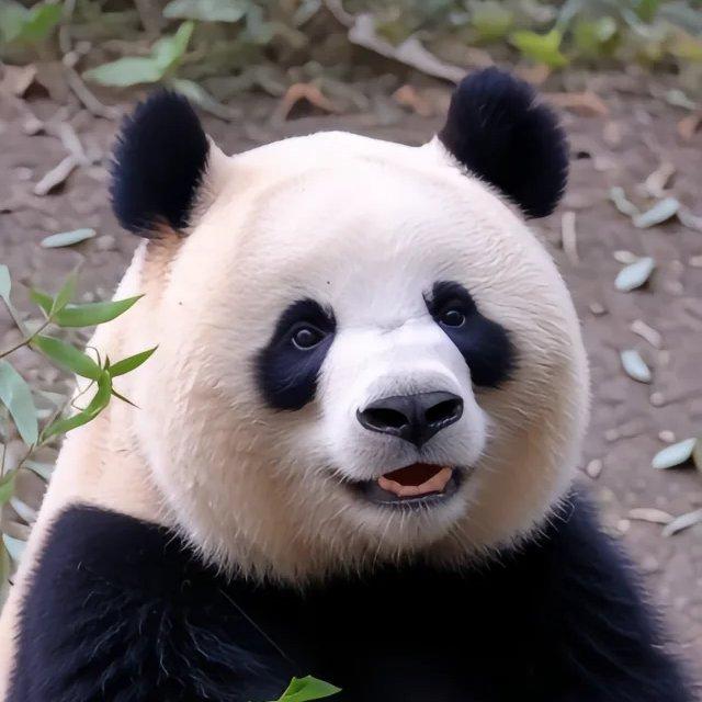 毛豆是个臭屁大王