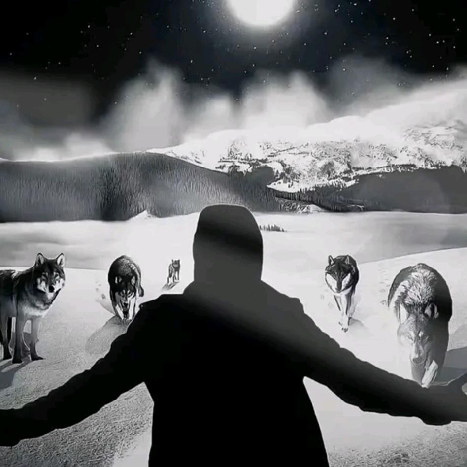 拱手河山讨你欢