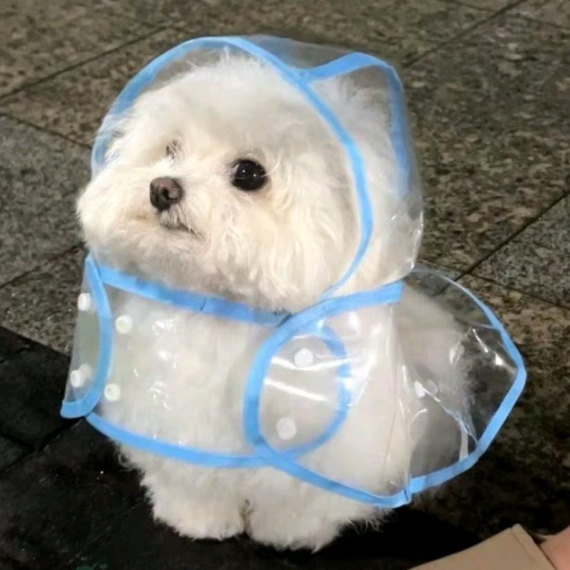 ૮◍⁰ᯅ⁰◍ა