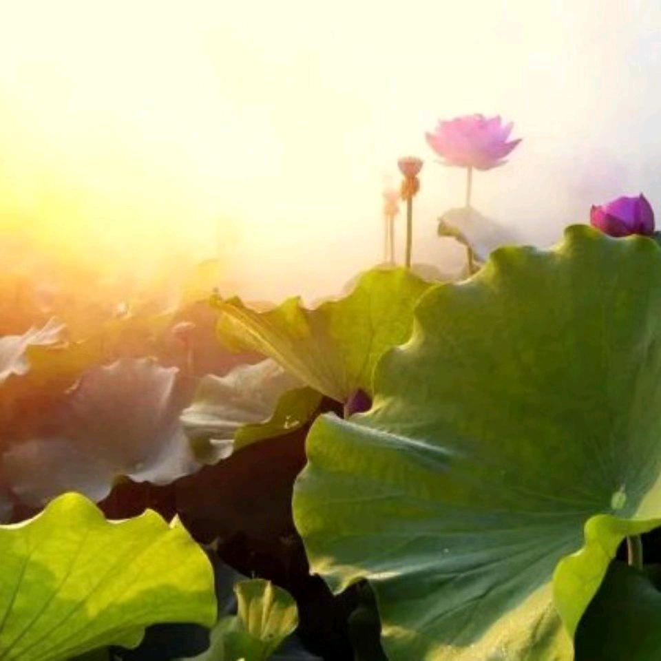 🙏吉祥如意🤗