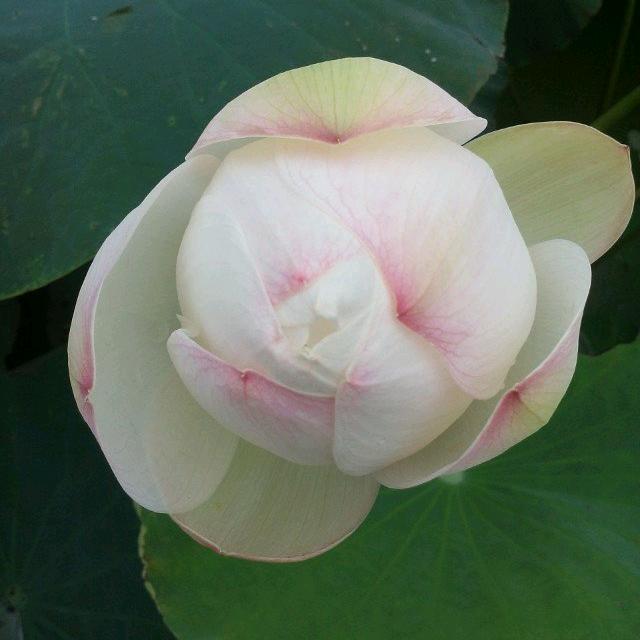 🌺前💐途🌸辉🌷煌🍁