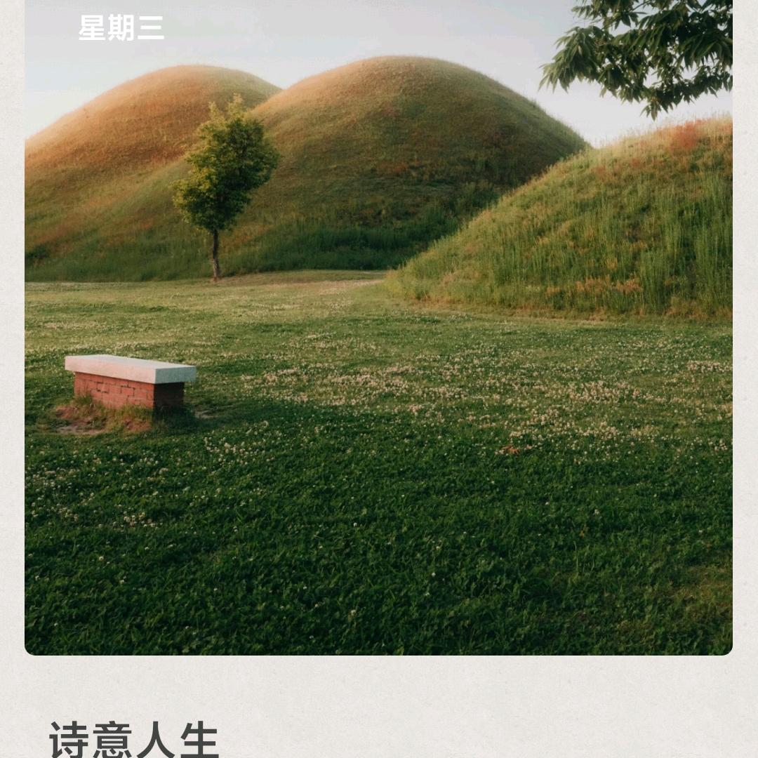 凤兰