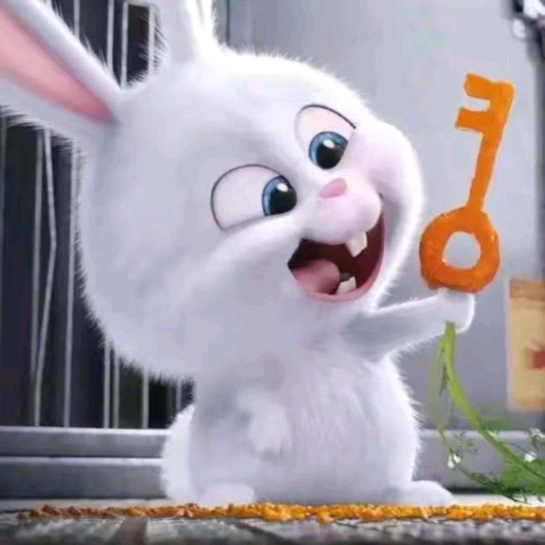 🇨🇳დ兔᭄兔℘