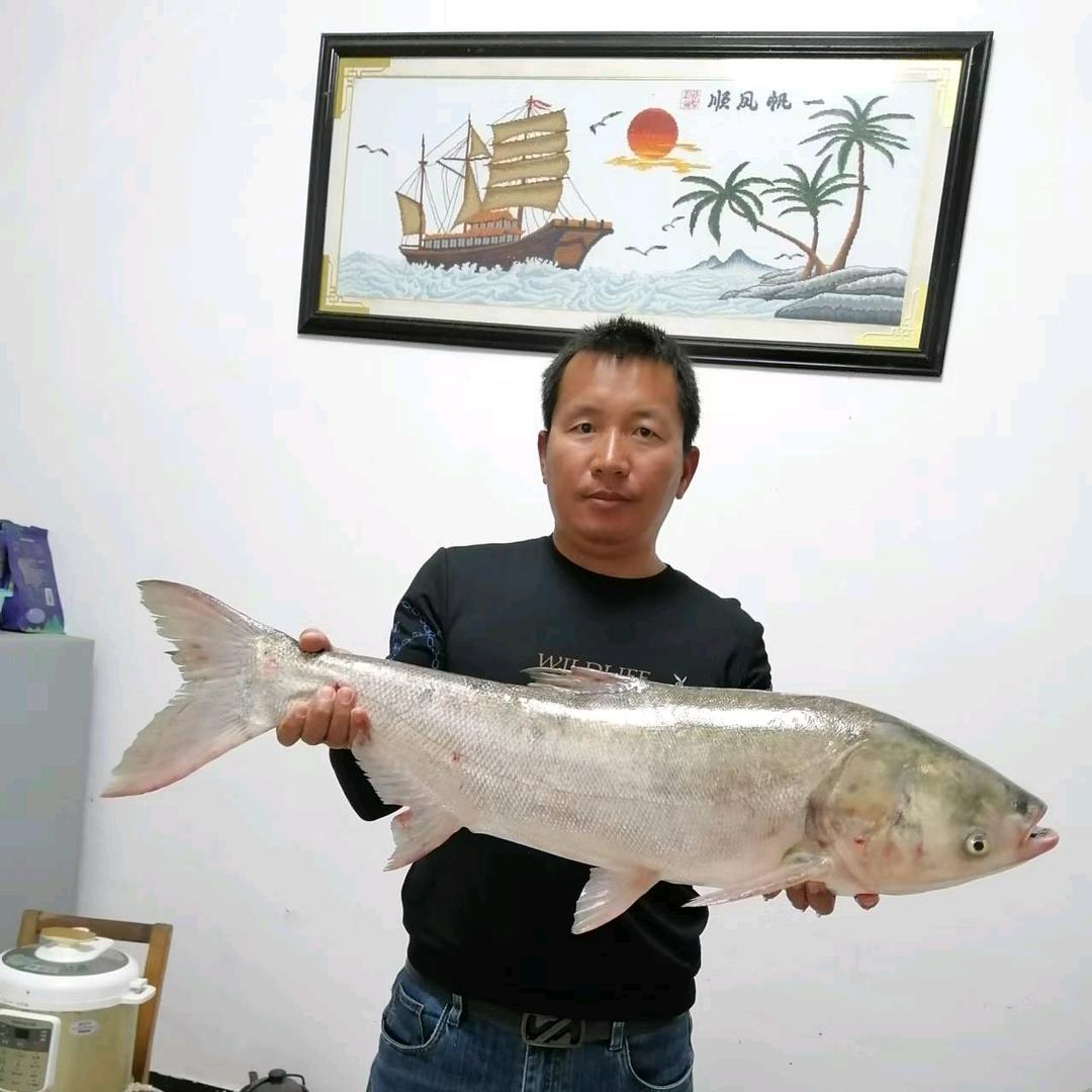 风格钓鱼