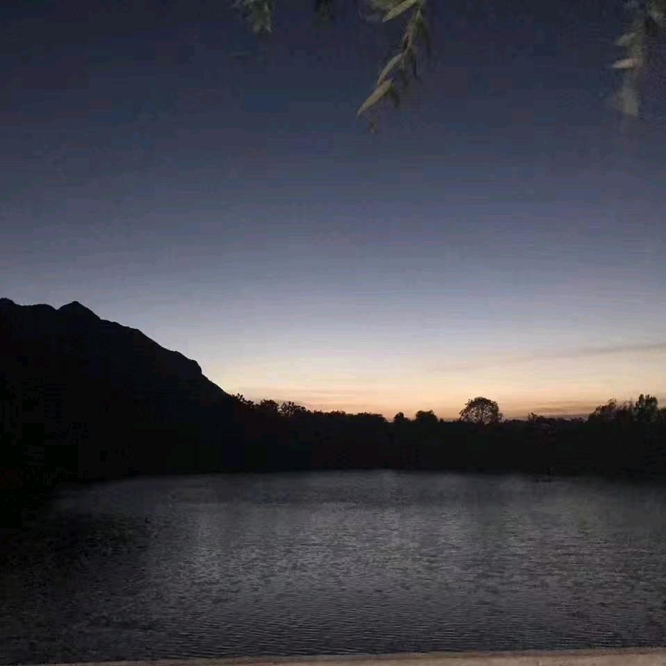 云水禅心