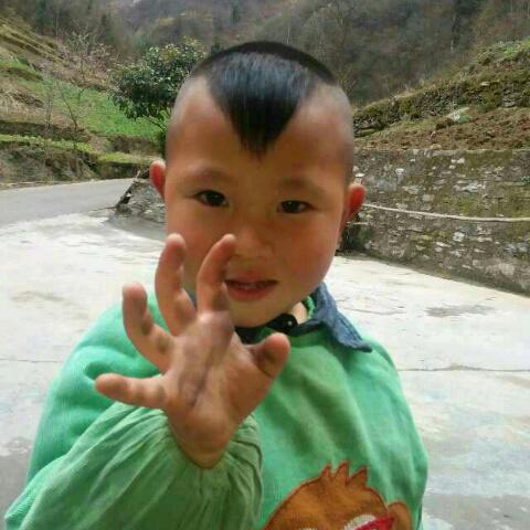 单身打工仔屈哥