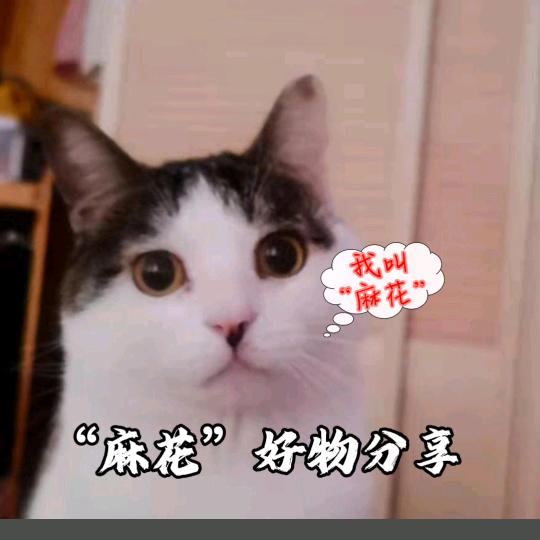 “麻花”优选好物